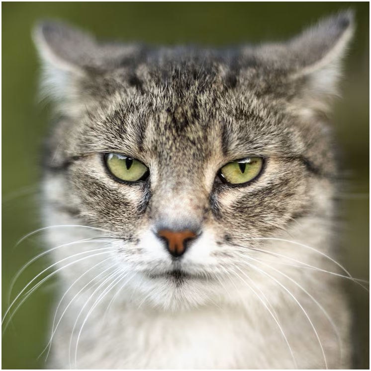 Набор дрип кофе на 7 дней: удобные пакеты для идеальной экстракции и насыщенного вкуса