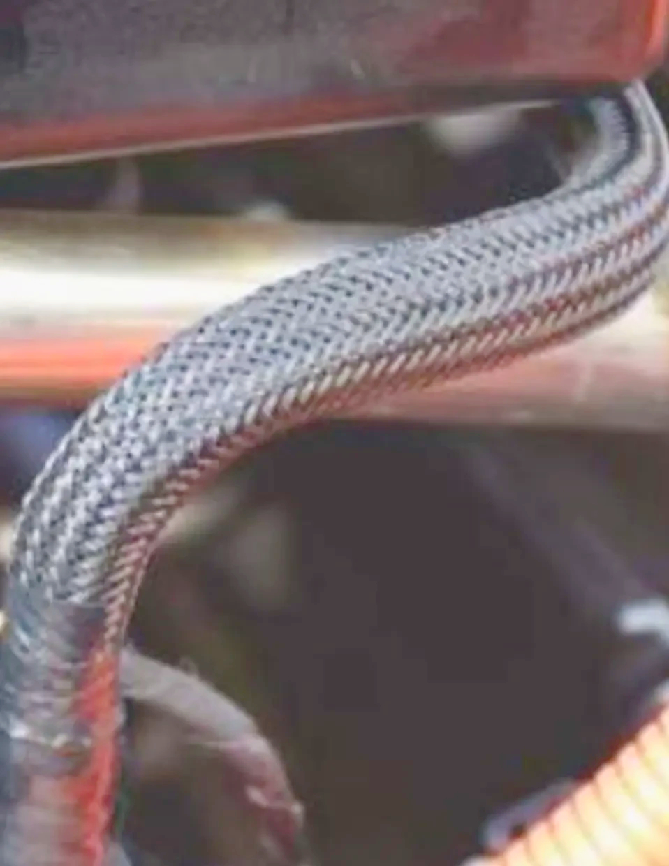 Оплітка TECHFLEX Chrome XC 0.79 см срібляста для кабелів і шлангів, 1 м, плетений рукав