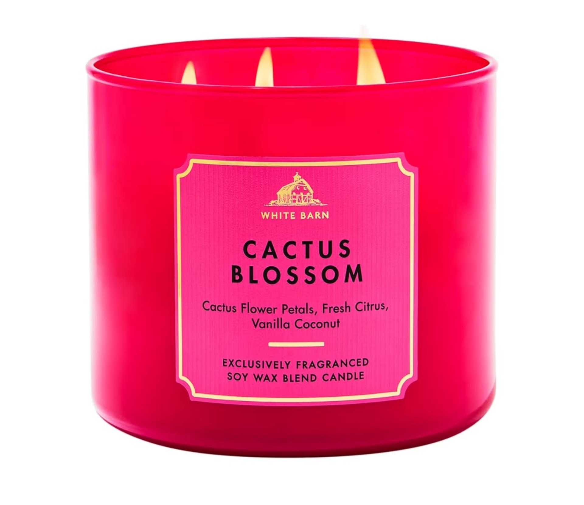 Bath & Body Works Candle – Cactus Blossom