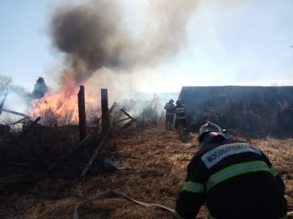 Администрация Сергиево-Посадского городского округа напоминает о недопустимости пала сухой травы