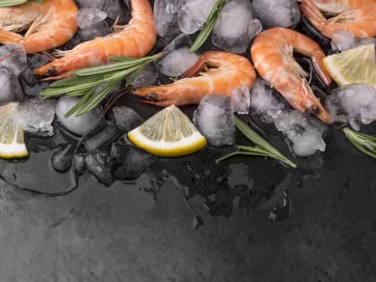 В Московской области будут выращивать королевских креветок