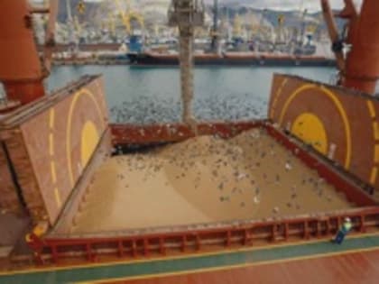 С Украины в рамках зерновой сделки вывезли почти 17 млн тонн зерна