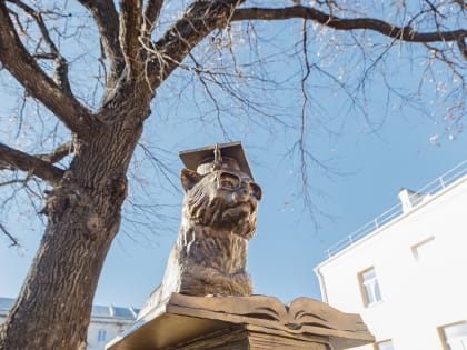 Кот-ученый в городе Куровское