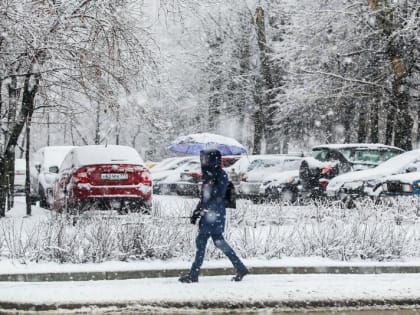 Зимние перспективы: температура в Московской области превысит норму