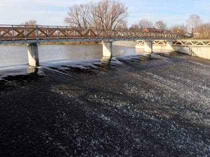 Глава г.о. Зарайск вместе с жителями прогулялся по новому построенному мостику на плотине р. Осетр