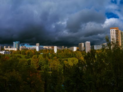 Дождь, гроза и до 22 градусов тепла ожидается в Московском регионе 18 июля