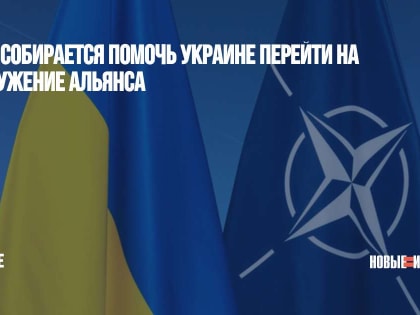 НАТО собирается помочь Украине перейти на вооружение альянса