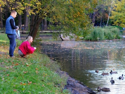 Похолодание в Московской области: прогнозы синоптиков на сентябрь