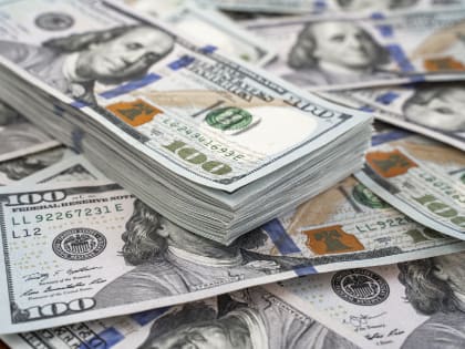 Банк БРИКС заявил, что доллар останется «запрограммированной» в его ДНК валютой