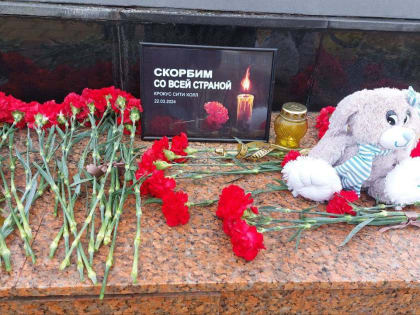 Члены Общественной палаты Орехово-Зуевского городского округа собрались у Вечного огня, чтобы почтить минутой молчания память погибших в теракте