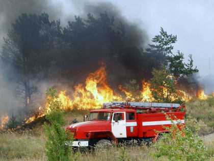 Лыткаринцев предупреждают о соблюдении правил пожарной безопасности в лесу