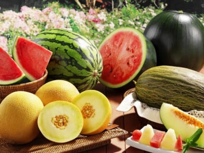 Дыня или арбуз: что полезнее?