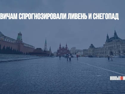 Москвичам спрогнозировали ливень и снегопад