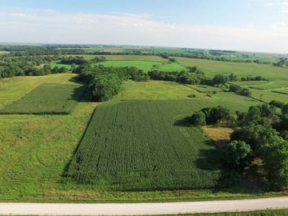 Рассчитать стоимость «прирезки» теперь можно с помощью нового чат-бота