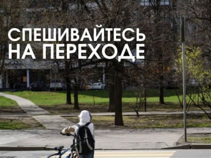 Безопасность на пешеходных переходах: важные правила