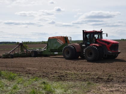 Серебряные Пруды попали в топ-3 по темпам сева масличных культур