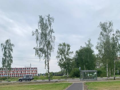 Завершены работы по программе «Пешком» по адресу: г. Электрогорск, территория от ул. Советская д. 45 к автобусной остановке.