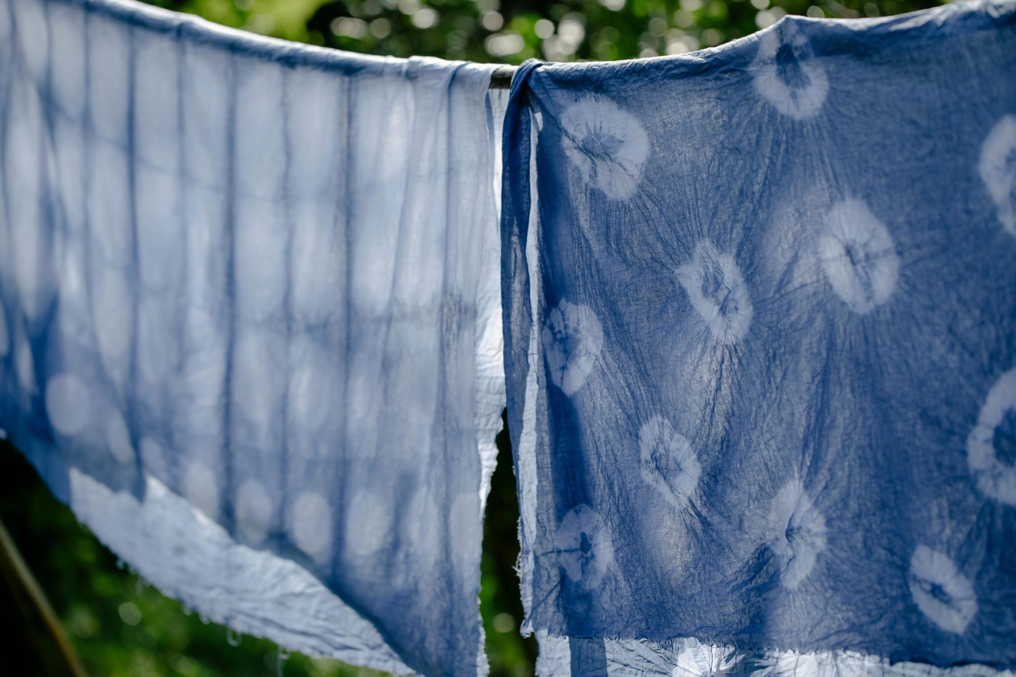 Membuat Shibori dari Indigofera tinctoria