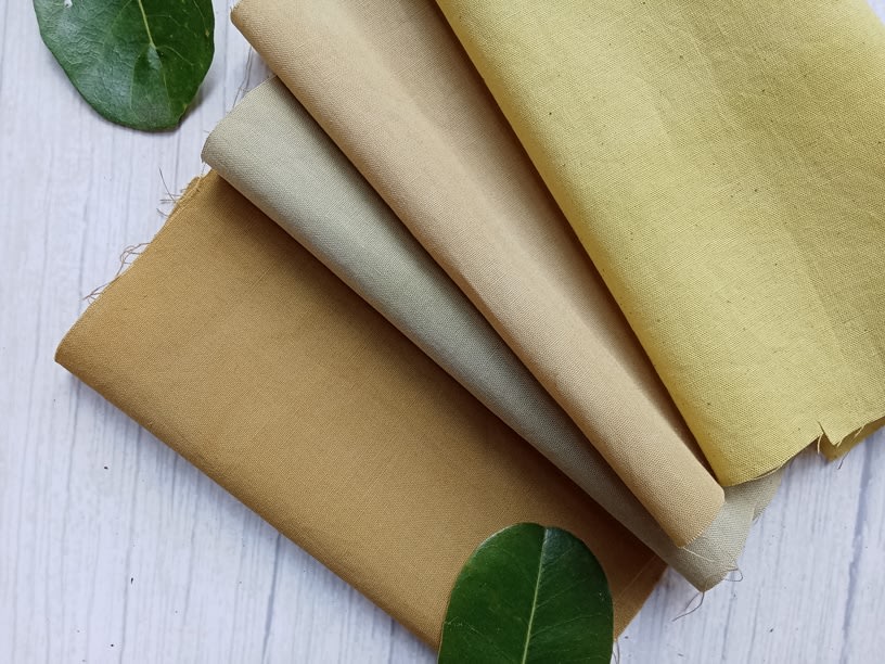 Menciptakan Warna Bumi: Menjelajahi Pewarna Alami dari Pohon Buah Tropis