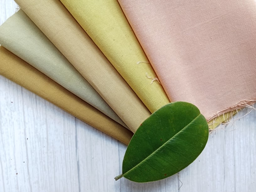 Warna dari Taman: Pengalaman Pewarnaan Alami untuk Pemula