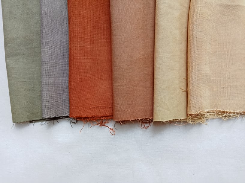 Warna dari Taman: Pengalaman Pewarnaan Alami untuk Pemula 3