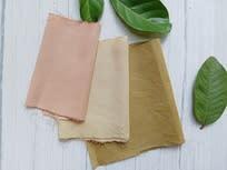 Menciptakan Warna Bumi: Menjelajahi Pewarna Alami dari Pohon Buah Tropis 1