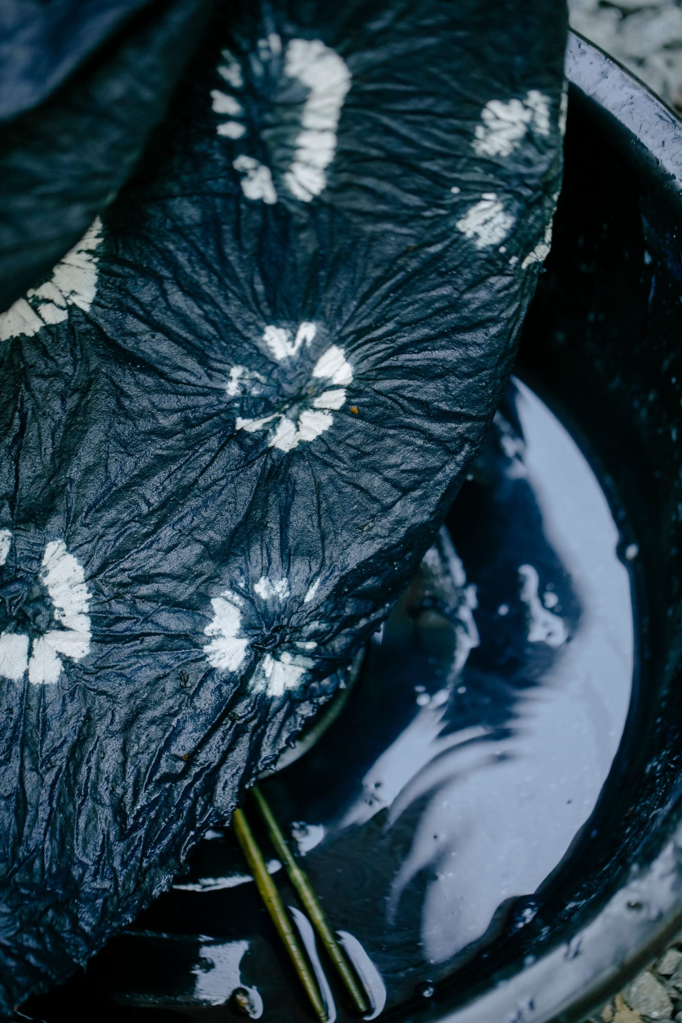 Shibori & Indigo Journey: From Garden to Cloth