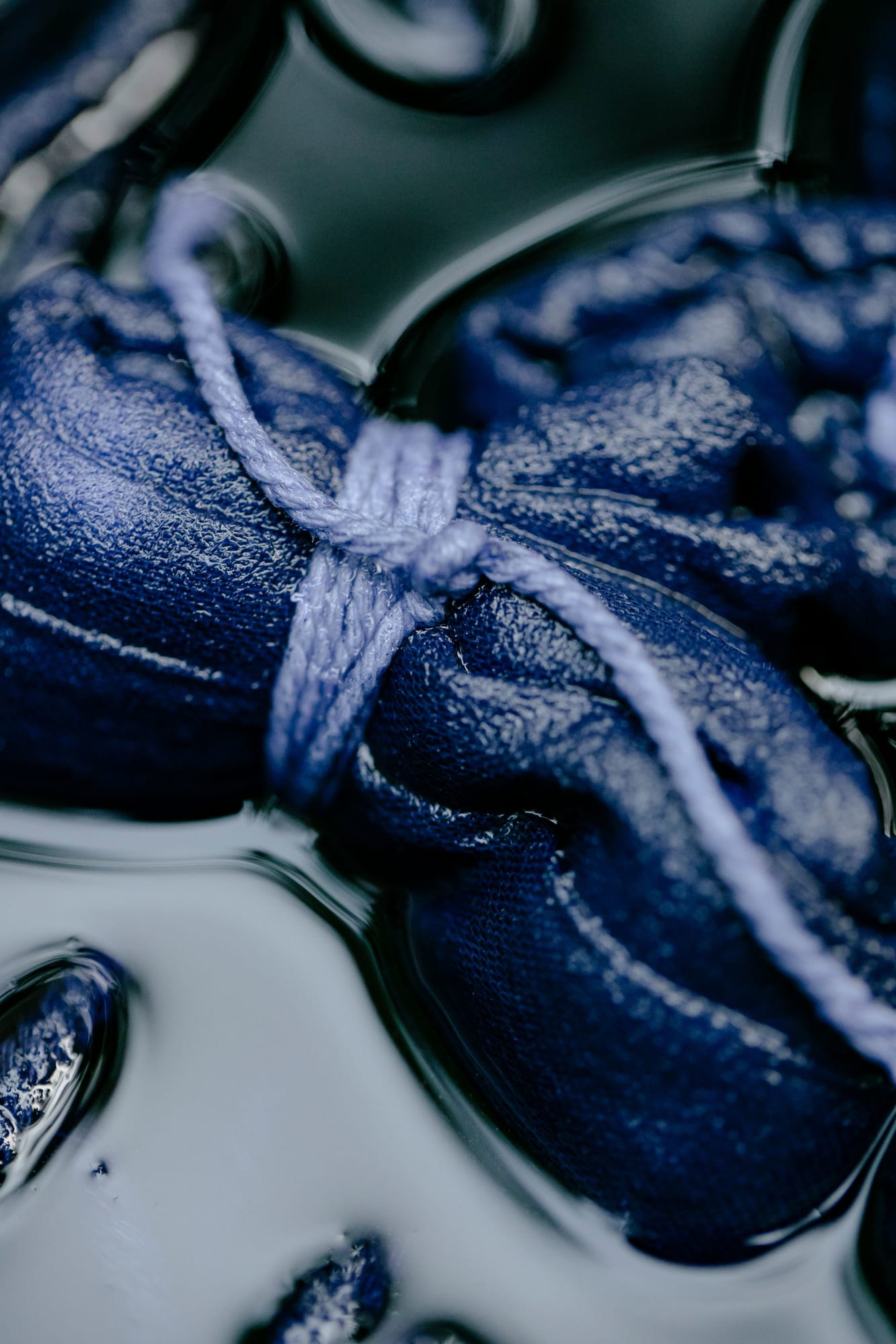 Shibori & Indigo Journey: From Garden to Cloth 3