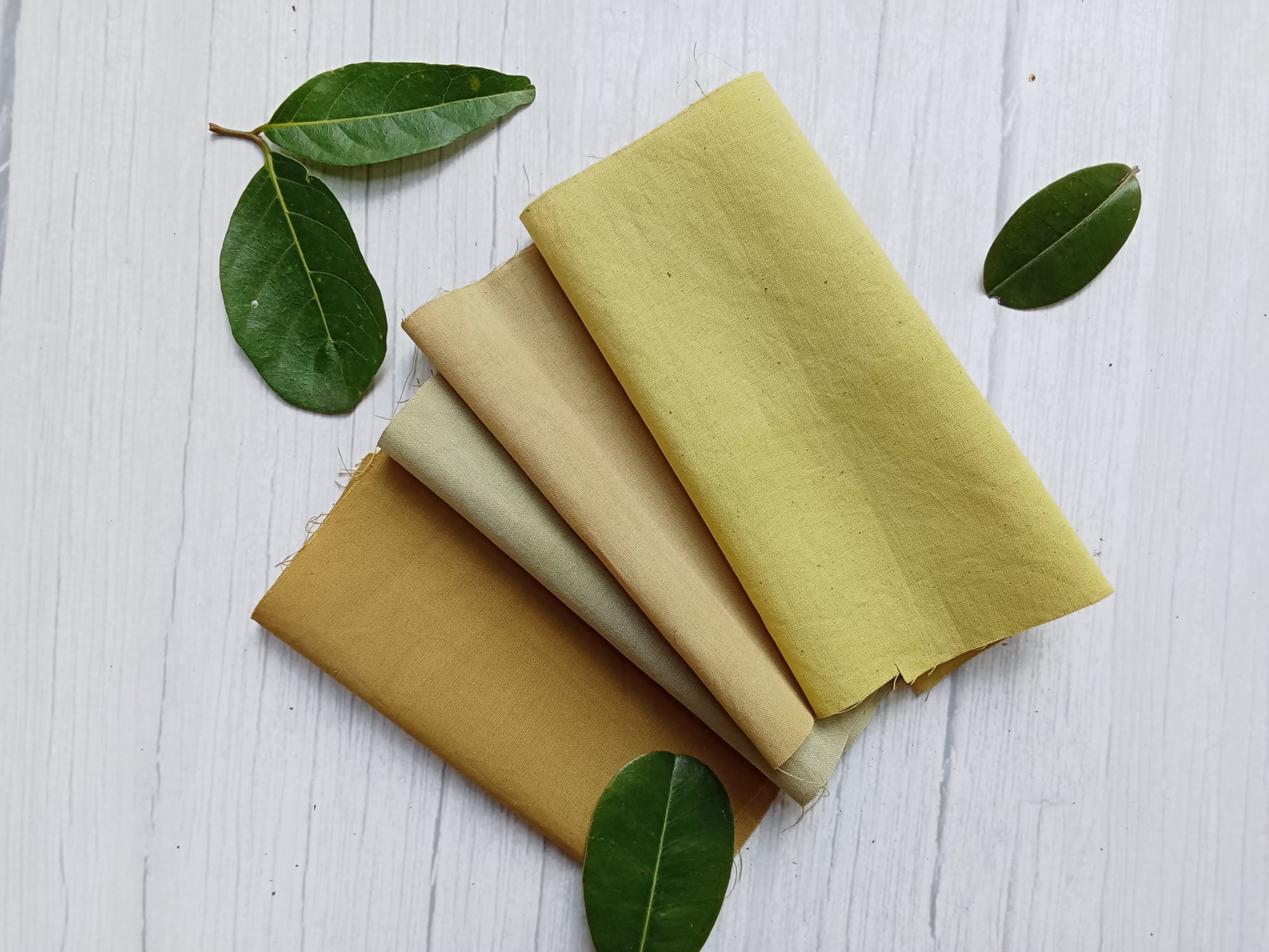 Creating Earthy Tones: Exploring Natural Dyes from Tropical Fruit Trees