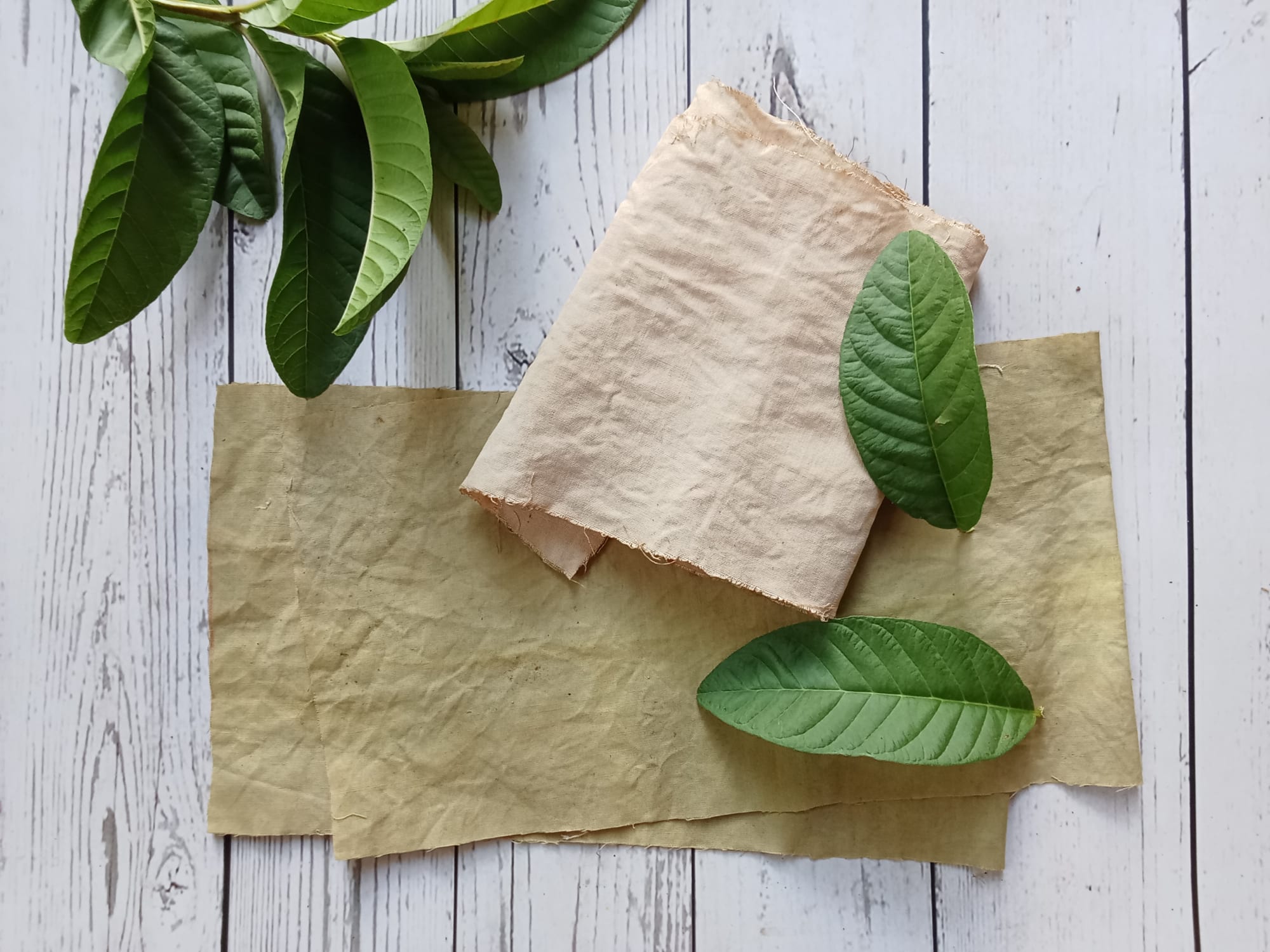 Colors from the Garden: Mixing Colors from the Natural Dye Garden