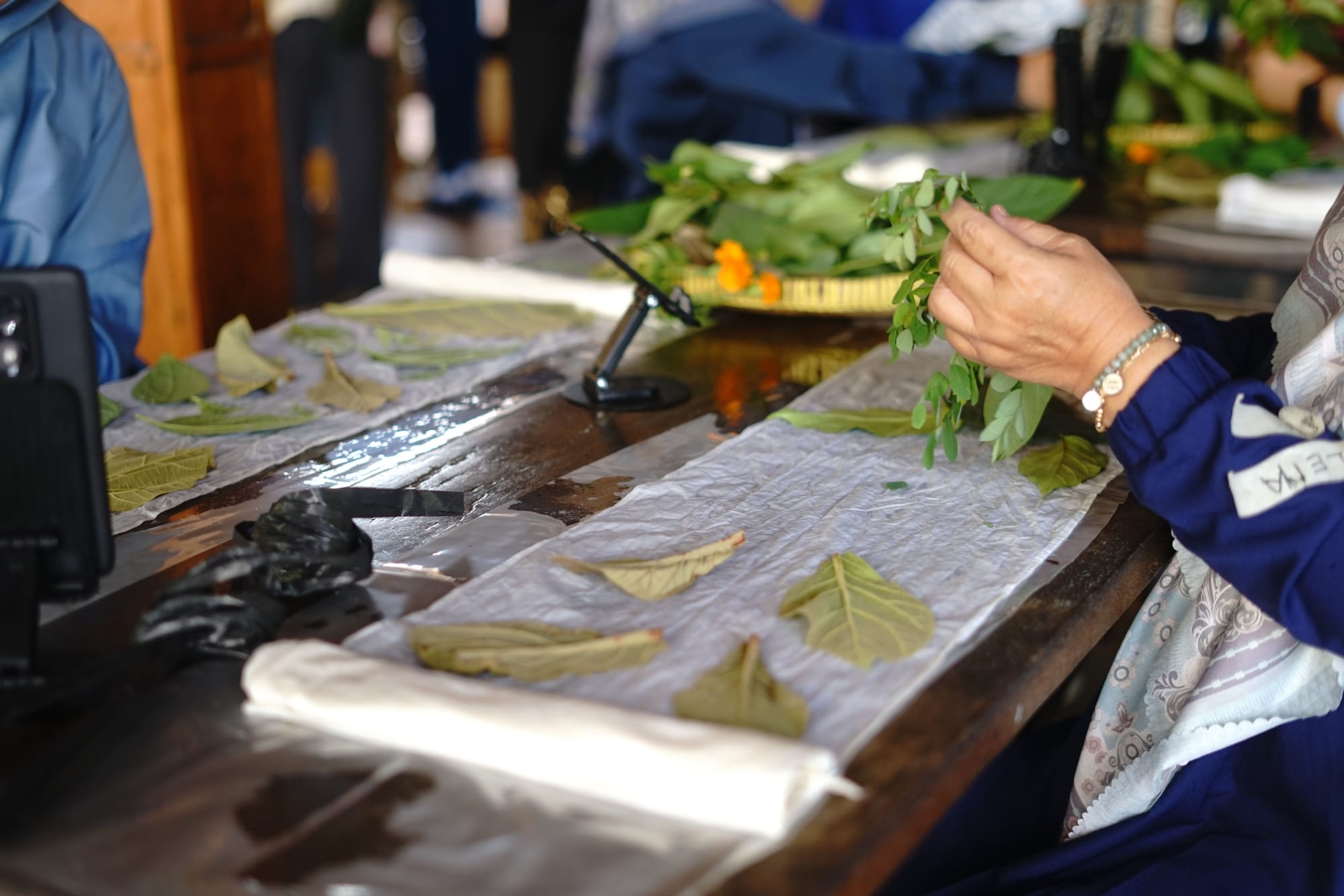AYU 5 – Silk Scarf Ecoprint Workshop 2