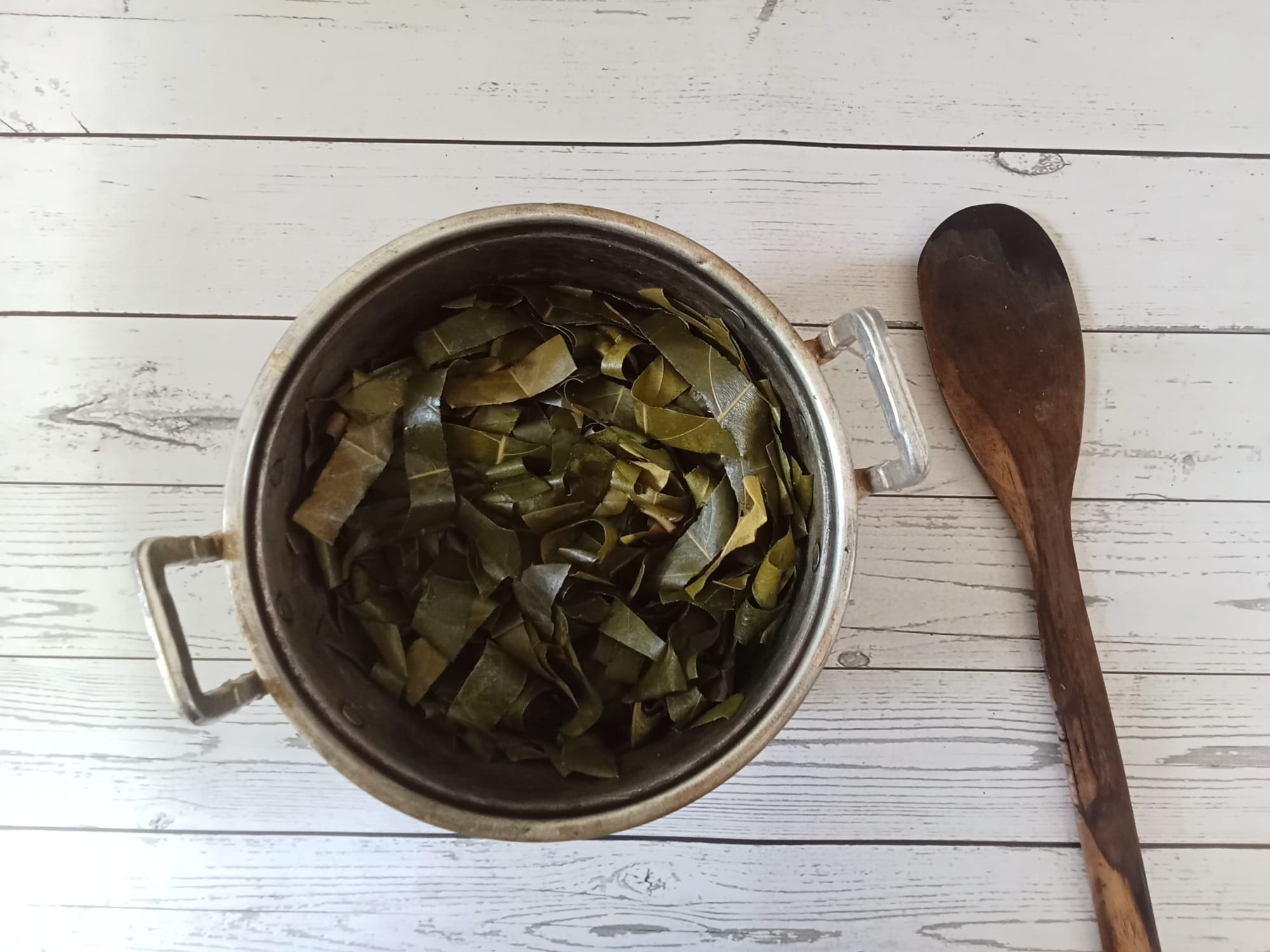 Colors from the Garden: Mixing Colors from the Natural Dye Garden 1