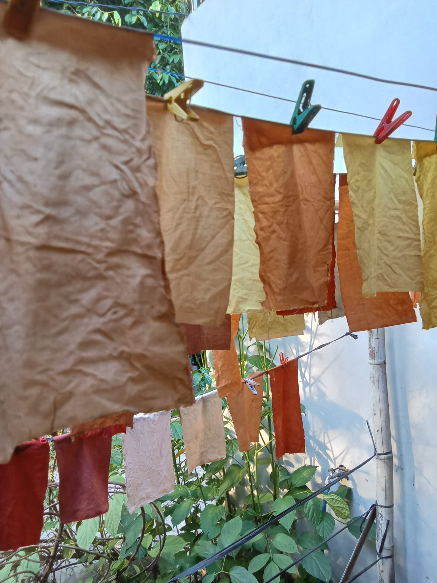 Colors from the Garden: Mixing Colors from the Natural Dye Garden 2