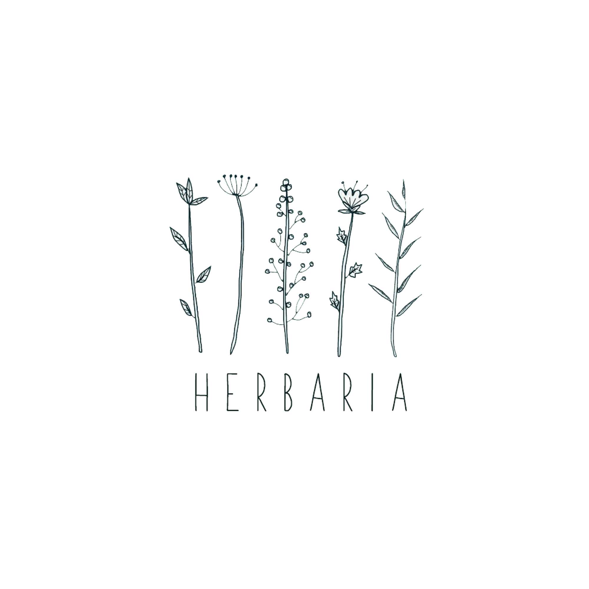 Herbaria