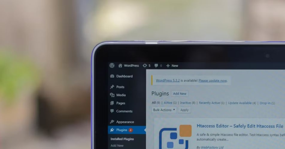 Setting up WordPress