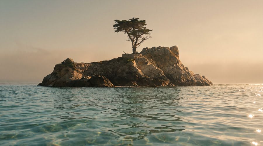 The island in an earlier take, with the wrong kind of tree.