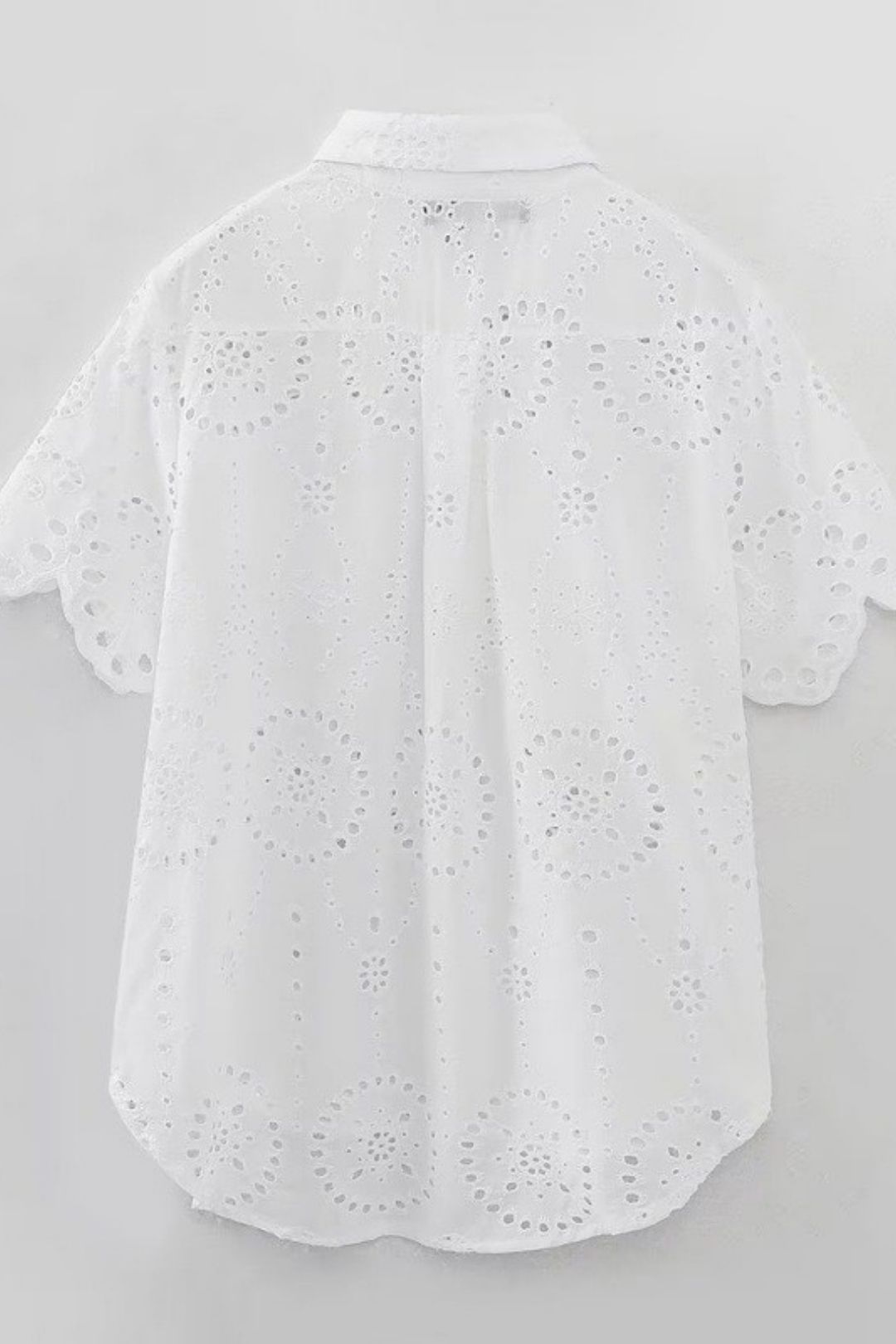 Shirt + Hollow Embroidered Shorts Set