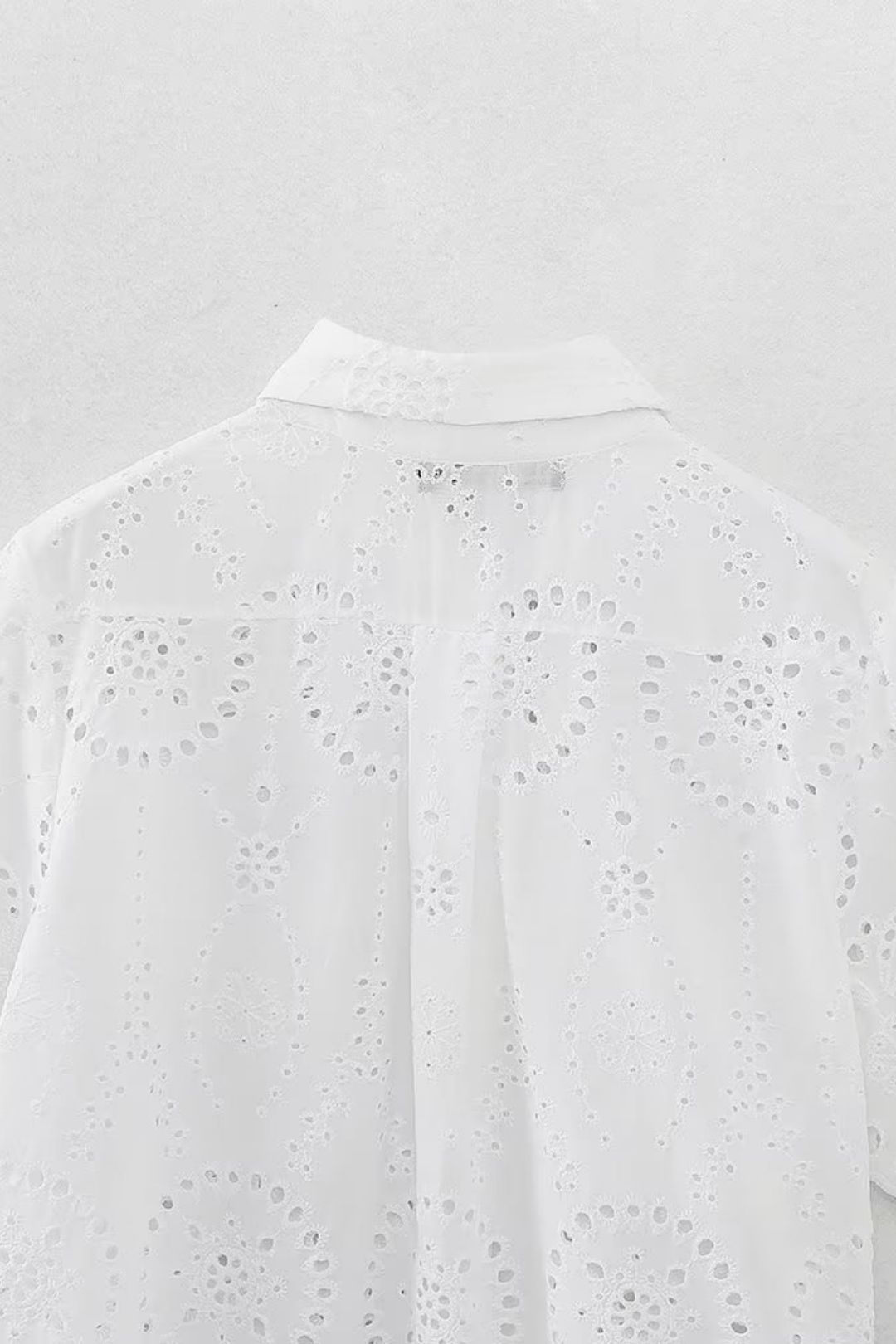 Shirt + Hollow Embroidered Shorts Set