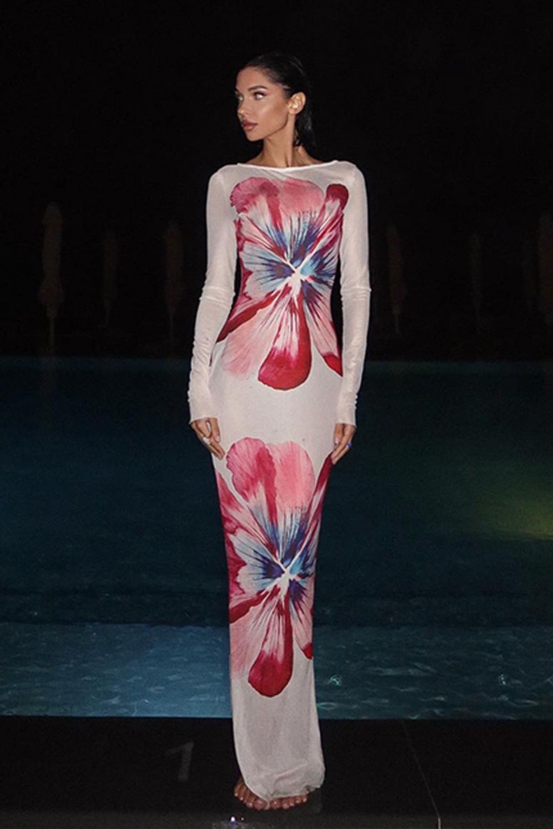 Printed Long Skirt Fashionable Sexy Long-sleeved Hip Dress