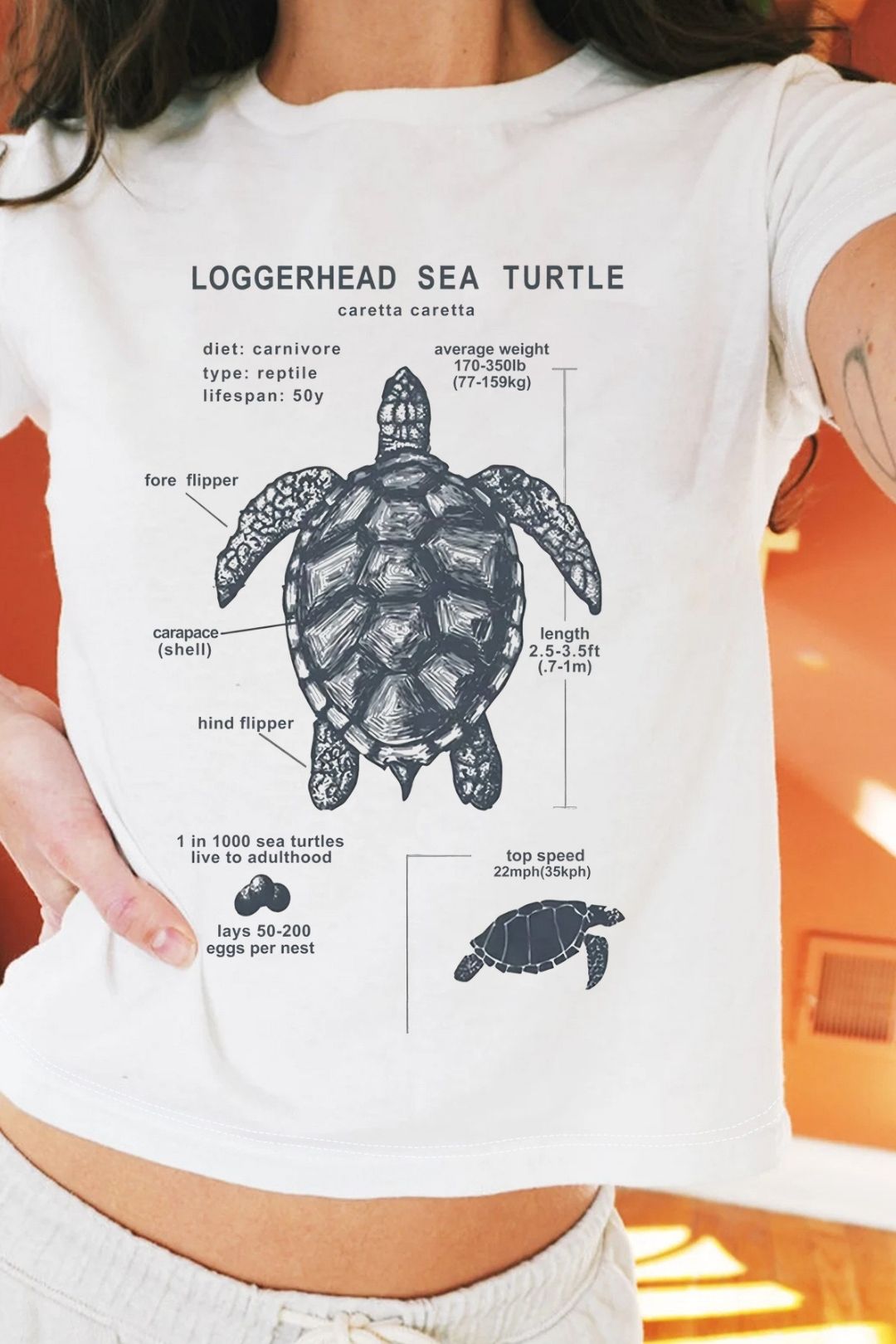 Shirt Summer Short Hot Girl Printed Top