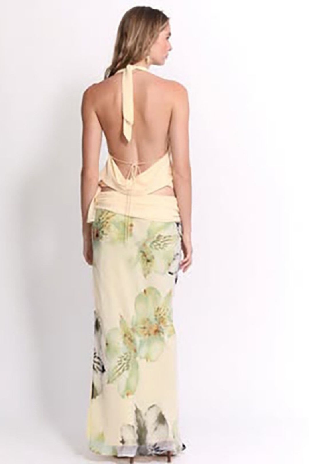 Sexy Backless Halter Neck Top, Slim-fit Printed Long Skirt Three-piece Set