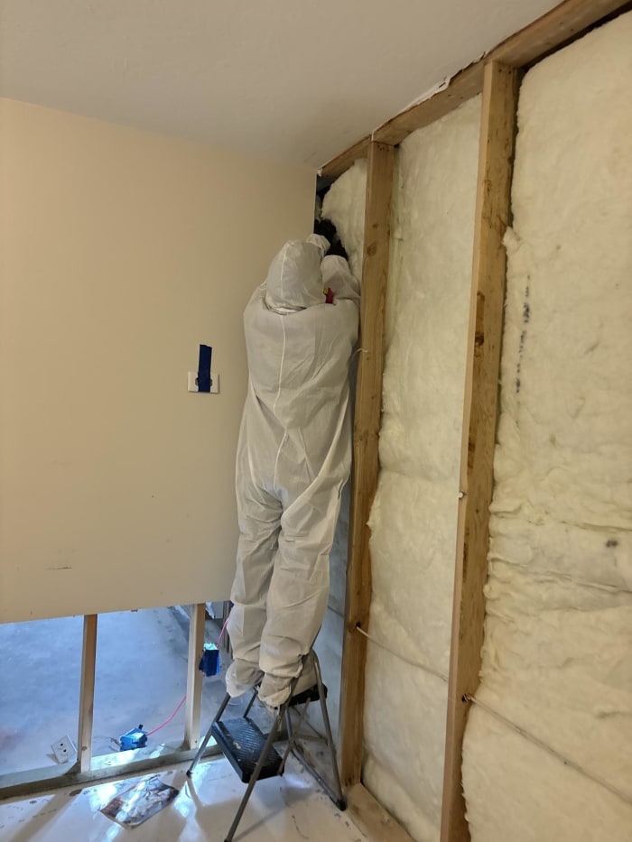 Extensive Interior Reconstruction — antes