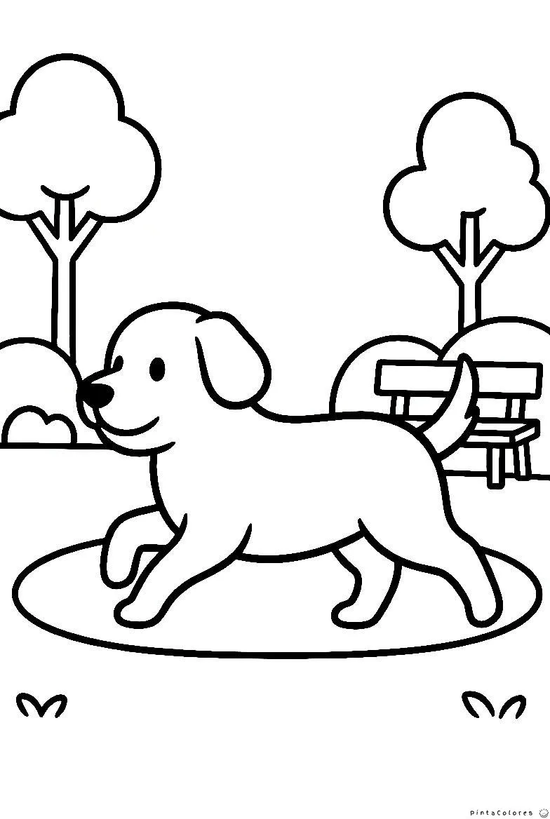 Perro paseando en parque dibujo para colorear