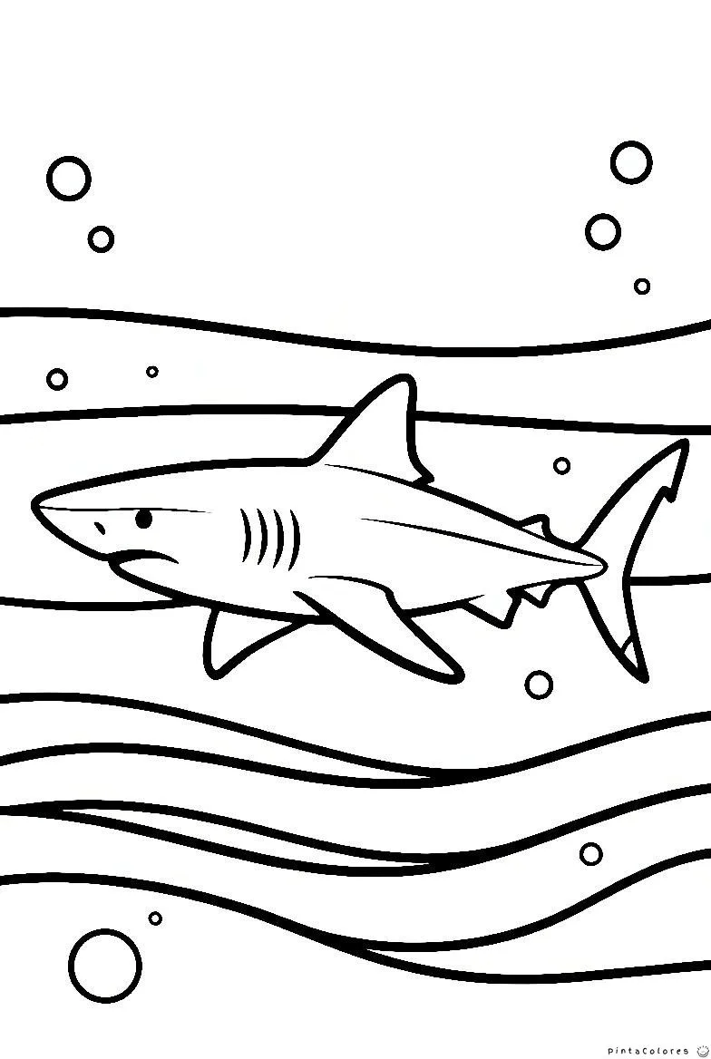Tiburón nadando dibujo para colorear