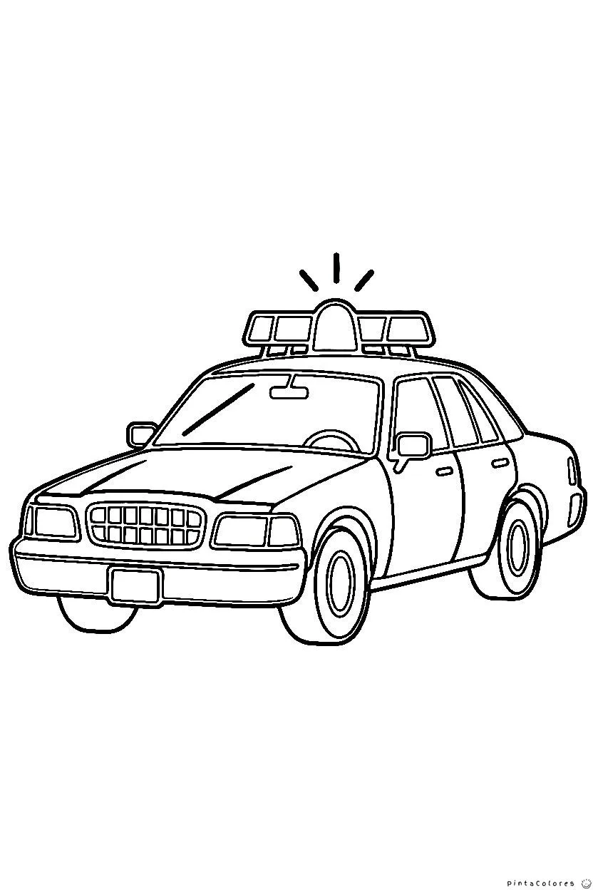 Auto de policía patrullando una playa