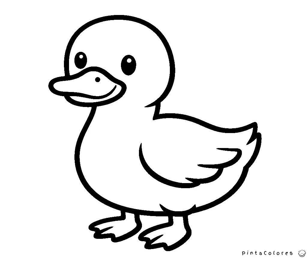 Ilustración básica de un pato con líneas simples y diseño minimalista para colorear.
