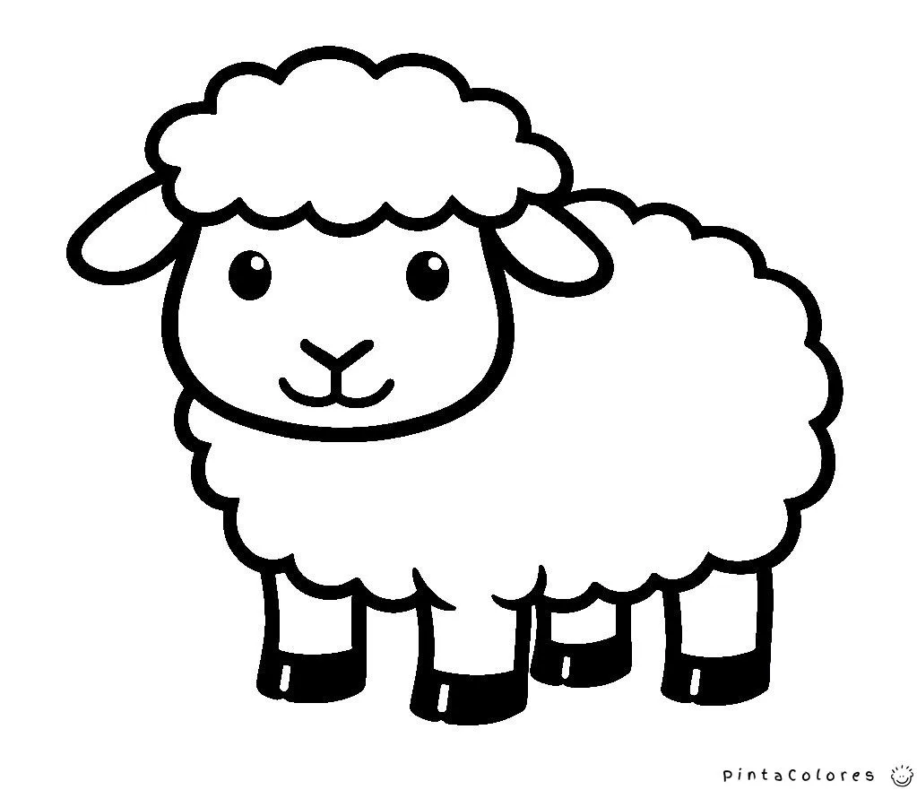 Dibujo de una oveja con cuerpo redondeado y líneas simples para colorear fácilmente.