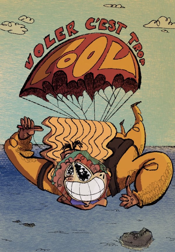 Couverture de VolerCestTropCool