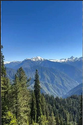 6 Days Chandigarh Shimla Manali Tour Package photo 3