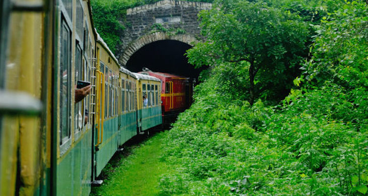Kalka Shimla toy train through forest
